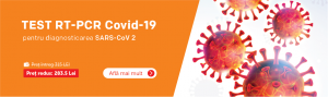 Test RT-PCR Covid-19